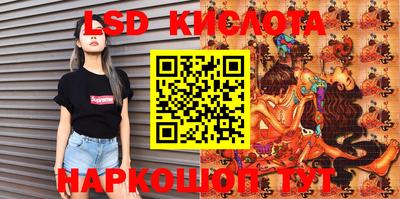 СК Новозыбков