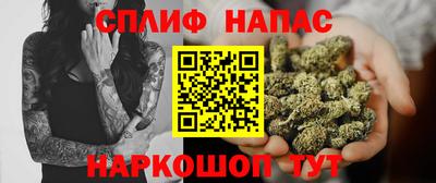 СК Новозыбков