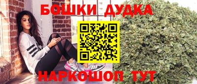 СК Новозыбков