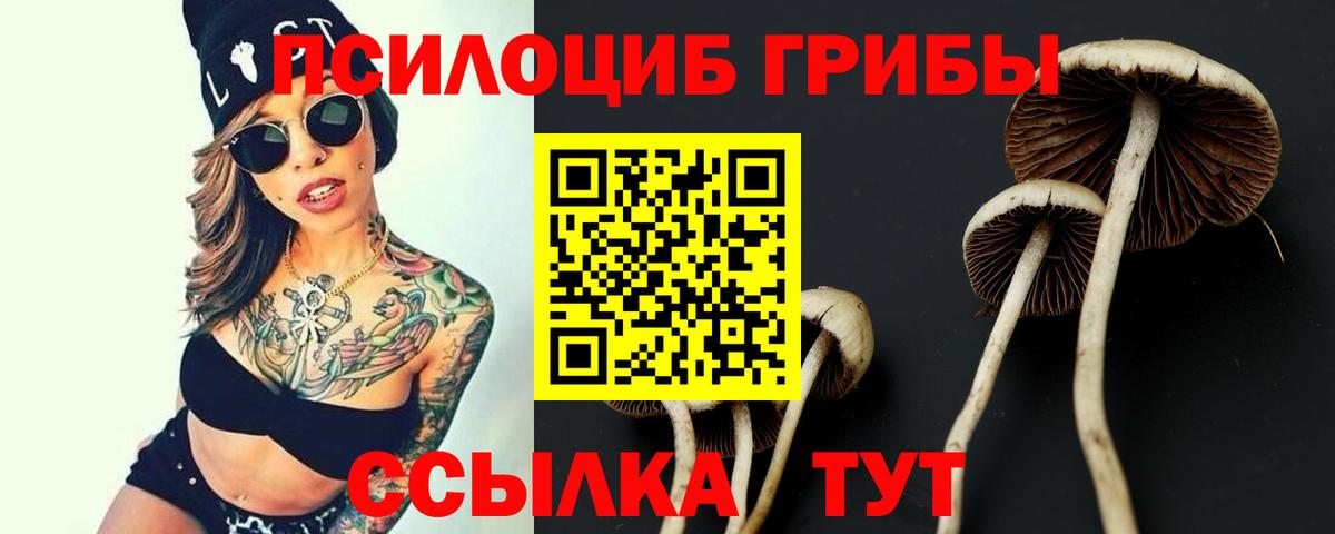 Сургут  Псилоцибиновые грибы ЛСД  Вход с VPN 